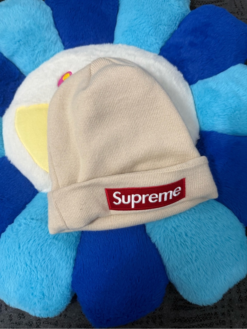 Supreme beanie